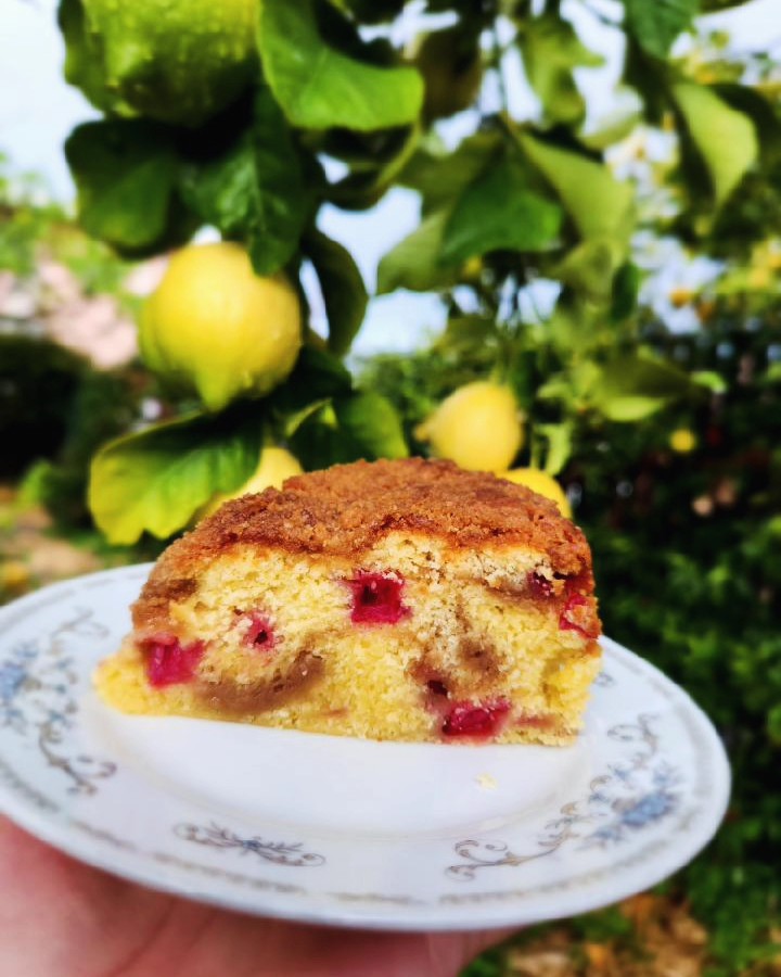A slice of raspberry crumb cake on a vintage plate.